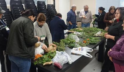Idosos participam de capacitação sobre cultivo de plantas medicinais no CRI
